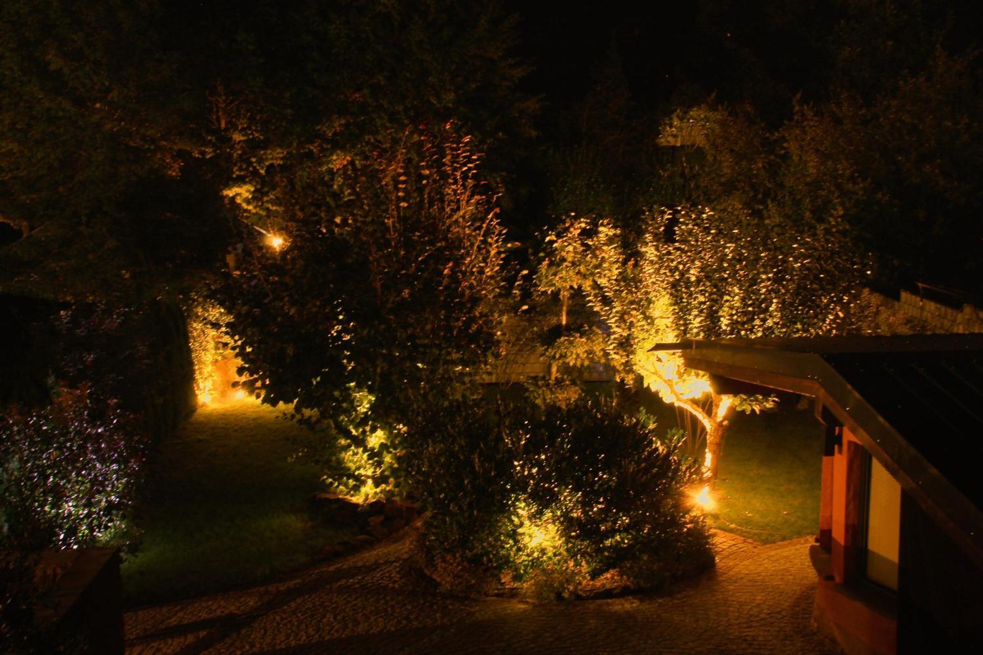 Ferienwohnung Altschloss Eppenbrunn Εξωτερικό φωτογραφία