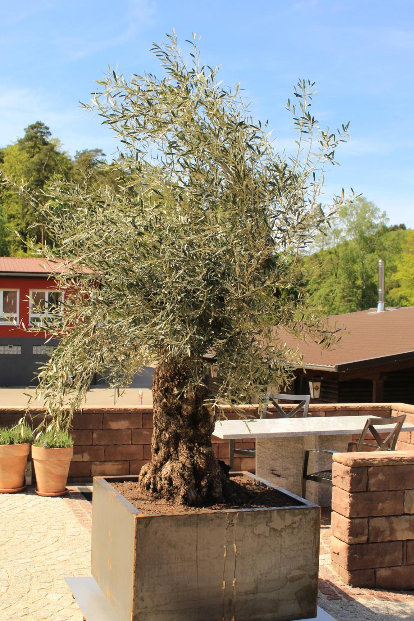 Ferienwohnung Altschloss Eppenbrunn Εξωτερικό φωτογραφία